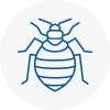 Bed Bug Extermination In Bradwell