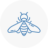 Bee Nest Removal Bradwell