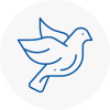 Bird Prevention Bradwell