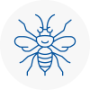 Bradwell Hornet Nest Removals