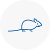 Mice Exterminators In Bradwell