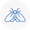 Moth Control Specialists In Bradwell