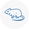 Rat Control Bradwell