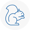 Bradwell Rodent Removals